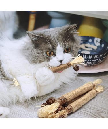 Organic Cat Mint Sticks - 6PCs Dental Chew Toys for Cats | Tooth Cleaning & Fresh Breath - Buy Online on GoSupps.com