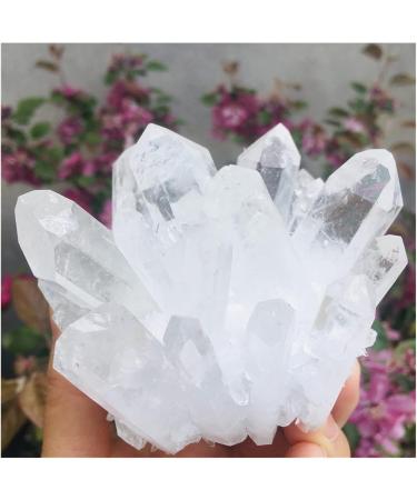 400-500g Natural Clear Quartz Crystal Cluster Minerals for Reiki Stone Home Furnishing ZJGIDTEM - Buy Online on GoSupps.com