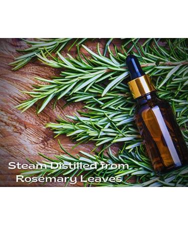 Oil Haven Rosemary Oil - 100ML Pure and Natural Premium Quality Oil for Hair Growth, Strengthening, and Dandruff Prevention - Organic Therapeutic Grade - Buy Online on GoSupps.com