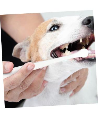 Beavorty 8 pcs Kitten Cleaning Pet Plastic -bristle Head Long Supplies Small Lightweight Cat Dog 1 count (Pack of 1) Assorted Colorx2pcs - Buy Online on GoSupps.com