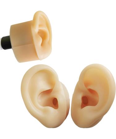 Silicone Ear Model for Acupuncture - Life Size Human Ear Model Lifelike Artificial Ear Model for Science Class Teaching Display Studs Earring Display Props - Buy Online on GoSupps.com