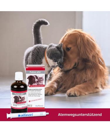 Alfavet Pulmo Alfa - 100ml Respiratory Support Juice for Dogs & Cats | Supplementary Feed with Dosing Syringe - International Shipping Available - Buy Online on GoSupps.com