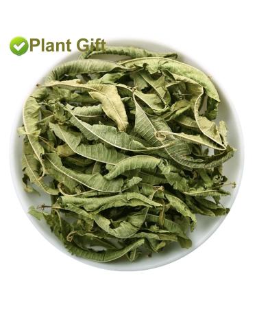 Organic Lemon Verbena Leaves 20G/0.7oz - GMO Free, Caffeine Free Herbal Tea - Buy Online on GoSupps.com