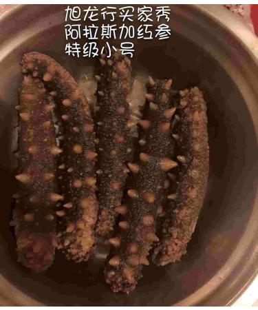 XLSEAFOOD Premium Grade Small Alaska Sea Cucumber - 0.5 lb Pack (16-22 pcs) - Buy Online on GoSupps.com