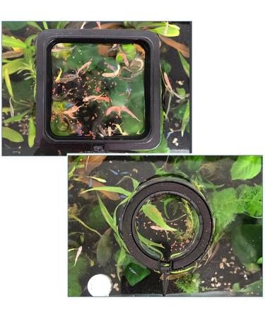 YIUIRUOI 2 Pieces Aquarium and Tank Floating Rings Food Feeders with Suction Cup Fish Food Feeders with Suction Cup (Black) - Buy Online on GoSupps.com