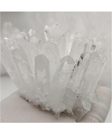 Natural Crystal Rough 270-330g 1pc Natural White Quartz Crystal Cluster Specimen Decoration - Buy Online on GoSupps.com