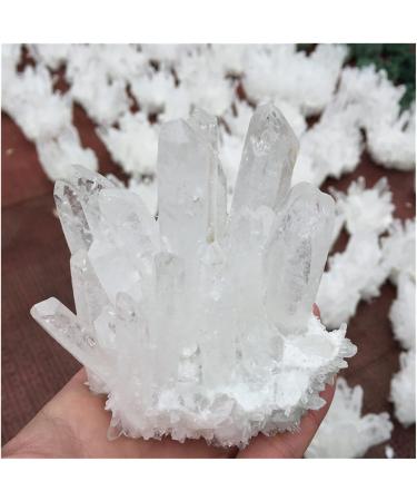 Crystals 1pc Natural Rock Quartz Crystal Cluster Clear Crystal Specimen Home Decoration Gemstone (Color : 500-600g) - Buy Online on GoSupps.com