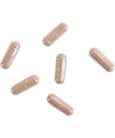 Kroeger Herb Candida Formula #1 Cleanse - Yeast Support Supplement for Women & Men | 100 Capsules Intestinal Health - Buy Online on GoSupps.com