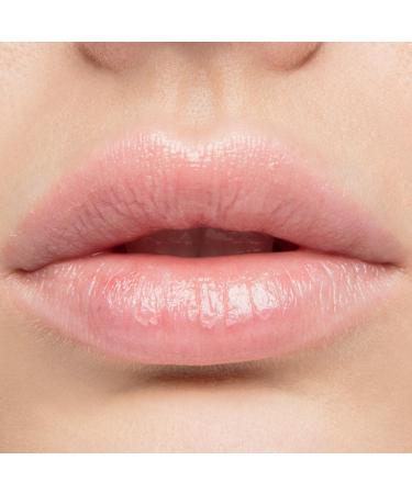 LIQUE Cosmetics Tinted Hydrating Lip Balm Lightly Scented Infused with Coconut & Jojoba Oils Weightless Vegan Formula Rose 0.21 Oz. - Buy Online on GoSupps.com
