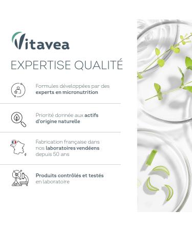 Vitavea Bien- tre - Compl ment Alimentaire Circulation - Vigne Rouge - Jambes L g res et Circulation sanguine - Pilulier de 40 g lules - Cure 40 jours - Fabriqu en France Nouveau - Vigne Rouge - Buy Online on GoSupps.com