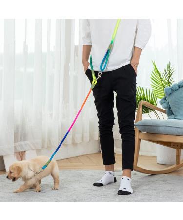 Pawstrip Hands-Free Dog Leash | Dual Waist & Crossbody Rope for 2 Dogs | Reflective & Durable Nylon | Heavy Duty Leash for Hiking & Running | Medium to Large Dogs (Multicolor) - Buy Online on GoSupps.com