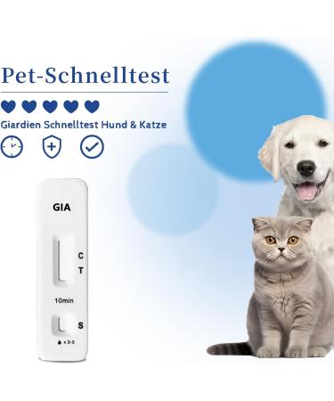 Belabb Giardien Quick Test for Dogs & Cats | Detect Diarrhea Nausea & Intestinal Parasites - Buy Online on GoSupps.com