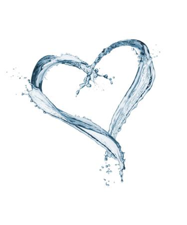 Buy SodaStream Lemon Syrup (No Sugar) - Makes 9 Liters in Seconds | Fresh 440ml Beverage Solution - Buy Online on GoSupps.com