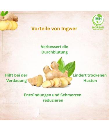  Morsan Healthcare Ginger (Zingiber officinale) Capsules | Pack of 60 x 500 mg Vegetarian Capsules | Natural Food Supplement | GMP Certified | Gluten-Free (120) - Buy Online on GoSupps.com