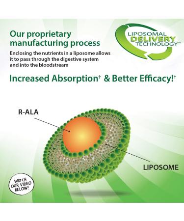 Aurora Nutrascience Mega-Liposomal R-Alpha Lipoic Acid 750 mg - Organic Fruit Flavor - 16 fl oz - Buy Online on GoSupps.com