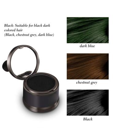 Sevich Hair Line Powder - 4 Color Magical Hairline Shadow for Thinner Hair | Fluffy Coverage & Beauty Cosmetics - Fast International Shipping - Buy Online on GoSupps.com