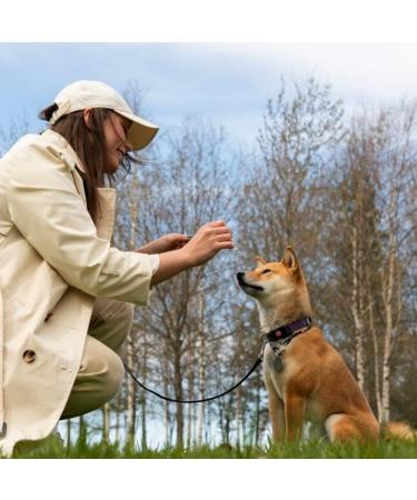 10ft (3m) Dog Tie Out Cable Dog Leads Pet Tie Out CableTie Out Cable for Dogs Outdoor Camping Picnic Strong Pet Safety Rope(10ft (3m) - Buy Online on GoSupps.com