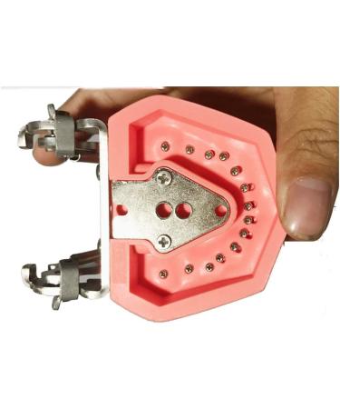 Ernzi Removable Dentures Model - Ideal Typodont for Dental Practice & Study Lessons - Buy Online on GoSupps.com