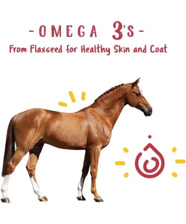 Manna Pro Weight Accelerator for Senior Horses - 8 lbs with Omega 3 & Probiotics - Buy Online on GoSupps.com