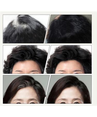 thinning hair 1PC Temporary Hair Color Modified Cream Color Repair Stick Hair Line Concealer Portable Hair Dye Kit Root Cover Up For Modify Your Hair Color(Black) - Buy Online on GoSupps.com