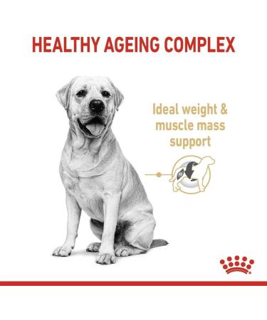 ROYAL CANIN Labrador Retriever Adult 5+ 12kg - Buy Online on GoSupps.com