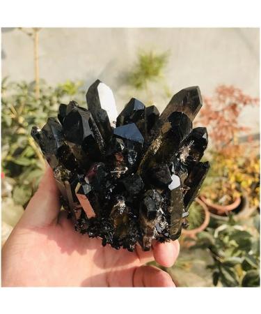 Crystal Natural Rock Quartz Crystal Cluster Smoky Crystal Specimen Home Decoration Gemstone Crystal FUZEGRDLI (Size : 750-800g) - Buy Online on GoSupps.com