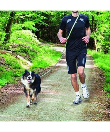 Trixie Jogging Line for Dogs with Belly Belt M-L | 1.33 1.80m | Grafit/Papaya | Ideal Sports Leash for Medium to Large Dogs | Free International Shipping - Buy Online on GoSupps.com