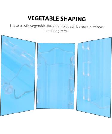 SEWOART 2pcs Melon and Fruit Shaping Mold Vegetables Melon Shaping Tools Star Shaped Cucumber Molds Melons - Buy Online on GoSupps.com
