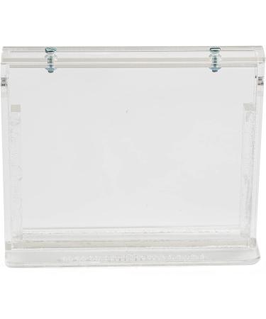 AntHouse - Natural Sand Anthill | Basic Kit (Sandwich + Drilling Box) | Ants Included - Buy Online on GoSupps.com