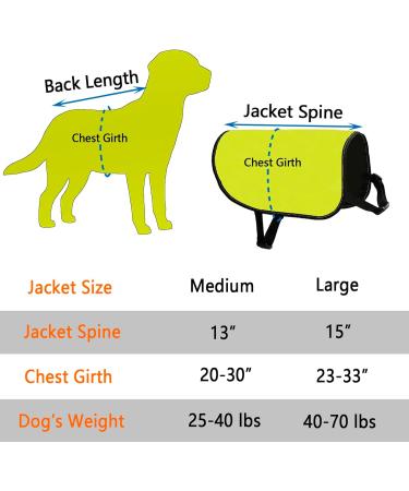 CENWA Reactive Dog Jacket Vest Dog Reactive Dog Training/Reactive Not Aggressive Service Dog Slogan Warning Vest (Reactive Not Aggressive L EU) - Buy Online on GoSupps.com