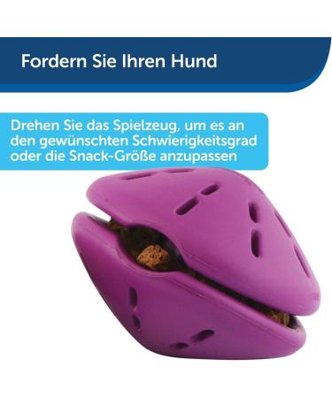 PetSafe Twist-n-Treat Dog Toy | Fillable Treat Toy | Customizable Dispensing & Dishwasher Safe | Purple L - Shop Now for International Shipping! - Buy Online on GoSupps.com