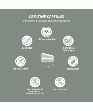 Nutri + Creatine Creapure Capsules - 99.99% Pure - Highest Dosage - 240 Vegan Capsules - 700mg Pure Creatine Monohydrate Per Capsule - Made in Germany - Buy Online on GoSupps.com