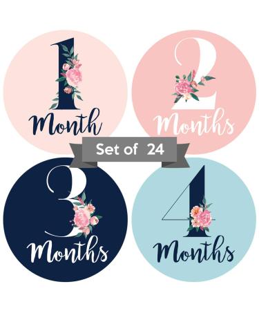 Baby Monthly Stickers | Floral Baby Milestone Stickers | Newborn Girl Stickers | Month Stickers for Baby Girl | Baby Girl Stickers | Newborn Monthly Milestone Stickers (Set of 24) - Buy Online on GoSupps.com