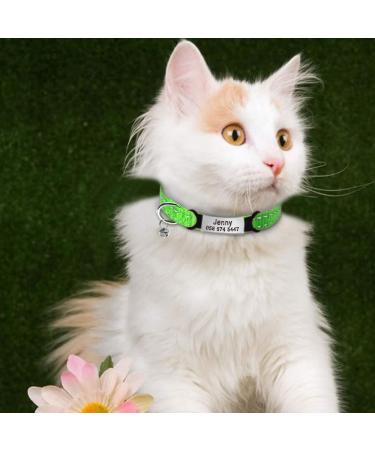Didog Reflective Cat Collar with Engraved Stainless Steel ID Tag - No Noise Adjustable for Kittens & Small Dogs - Green XS (19-30cm) - Buy Online on GoSupps.com