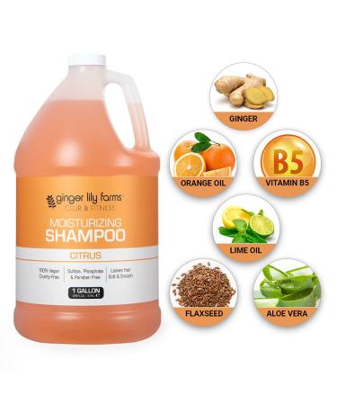 Ginger Lily Farms Club & Fitness Moisturizing Shampoo - 1 Gallon - Vegan & Cruelty-Free - Citrus Scent - for All Hair Types - Buy Online on GoSupps.com