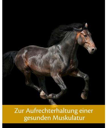 Equistro Excell E Powder for Horses (Tub Size: 1kg Tub) - Buy Online on GoSupps.com