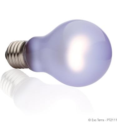 Exo Terra Daytime Heat Lamp - A19 100W Broad Spectrum Daylight | E27 Socket | Perfect for Reptiles and Amphibians - Buy Online on GoSupps.com
