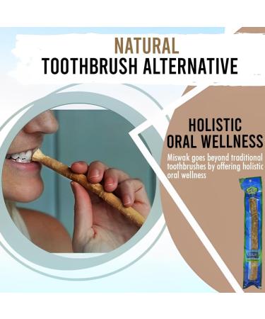 BML 3 x Miswak Natural Dental Chew Thick Herbal Stick Vacuum Packed Sewak Datun for Ancient Remedy Promotes Healthy Teeth & Gums and Ensures Fresh Breath - Buy Online on GoSupps.com