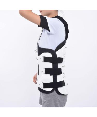 Buy Cusma Thoracolumbale Fixed Vertebral Orthosis | Adjustable Thoracolumbale Support with Double Airbag International Shipping Available - Buy Online on GoSupps.com