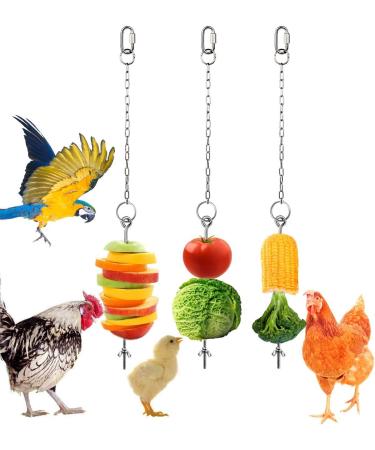 Chicken Toys for Hens Chicken Veggies Skewer Fruit Food Holder 3 Pcs Pet Chicken Vegetable Hanging Feeder Toy Stainless Steel Foraging Toy for Hens Large Birds Treat Skewer - Buy Online on GoSupps.com