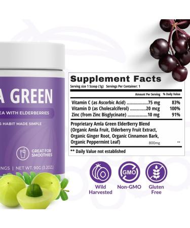 Amla Powder & Green Tea Superfood Supplement Antioxidant Support Made with Pumpkin Spice (90 servings) & Elderberries (30 servings) Organic Vegan - Buy Online on GoSupps.com