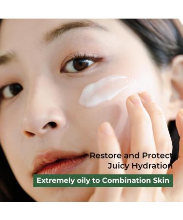 Buy Original Wormwood Calming Watery Cream 100ml - Soothing Hydration for Glowing Skin | International Shipping Available - Buy Online on GoSupps.com