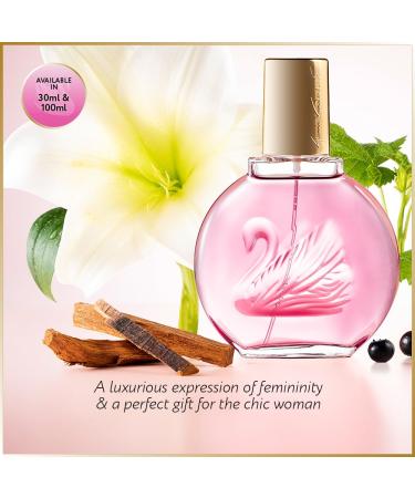 Gloria Vanderbilt Minuit New York Eau de Parfum Spray 100 ml - Buy Online on GoSupps.com