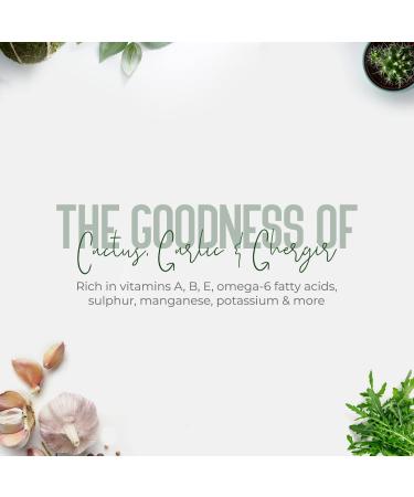 Vatika Naturals Wild Cactus Anti-Breakage Conditioner 200 ml - Nourish & Strengthen Hair | International Shipping - Buy Online on GoSupps.com