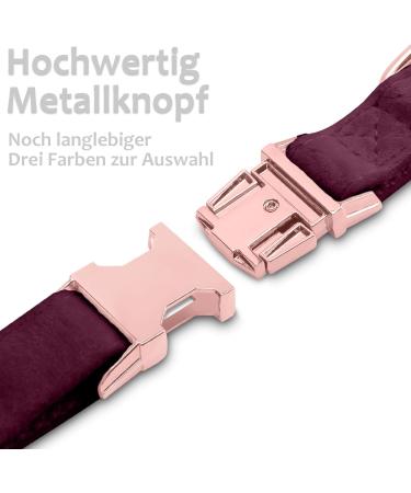 Shop Asvin Velvety Dog Collar with Removable Fly | Soft & Comfortable Multicolored Collar for Weddings & Parties - International Shipping - Buy Online on GoSupps.com