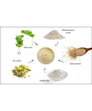 Raya Bio-Sulfur Masque | Deep Cleansing Facial Clay Mask for Oily Skin | Exfoliating Face Pack with Vitamin-B & Bio Sulfur | Control Breakouts & Oiliness - Buy Online on GoSupps.com