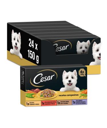 Cesar wet feed for dogs selection of rural recipes in sauce multipack (6 x 4 cups x 150 g) peasant recipes in sauce 6 x 4 150 g (24 Pack)