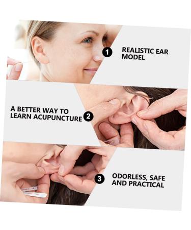 Silicone Ear Models Set - Practice Tools for Ear Picking & Cleaning | Auditory Meatus Display - Buy Online on GoSupps.com