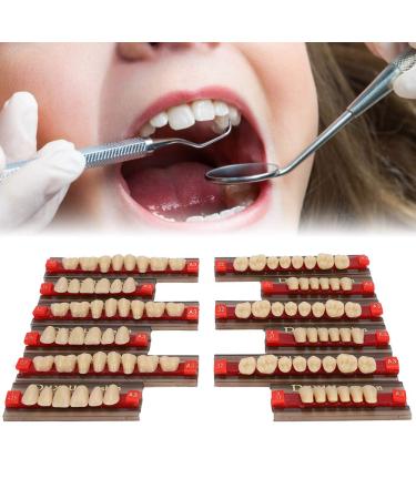 Buy Complete Resin Dentures | High-Quality Artificial Teeth & Dental Supplies for International Shipping - Buy Online on GoSupps.com