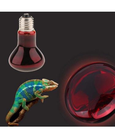 Tenlacum 40/50/60/75/100W Infrared Basking Spot Lamp Single Max Heat Reptile Red Bulb Light (40W) - Buy Online on GoSupps.com